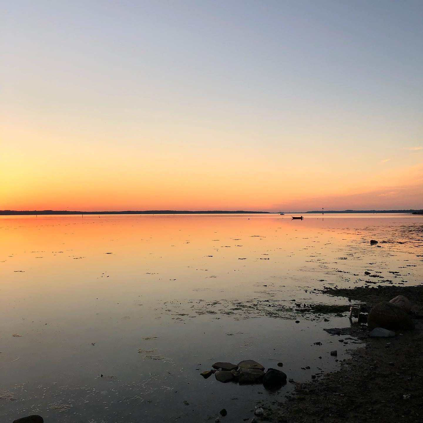 Roskilde Fjord har gjort lidt ekstra ud af sig selv i aften.
