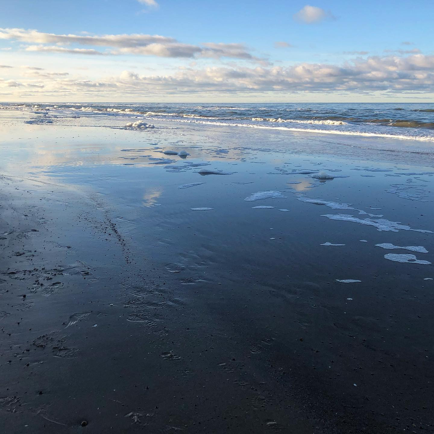 #home #northsea