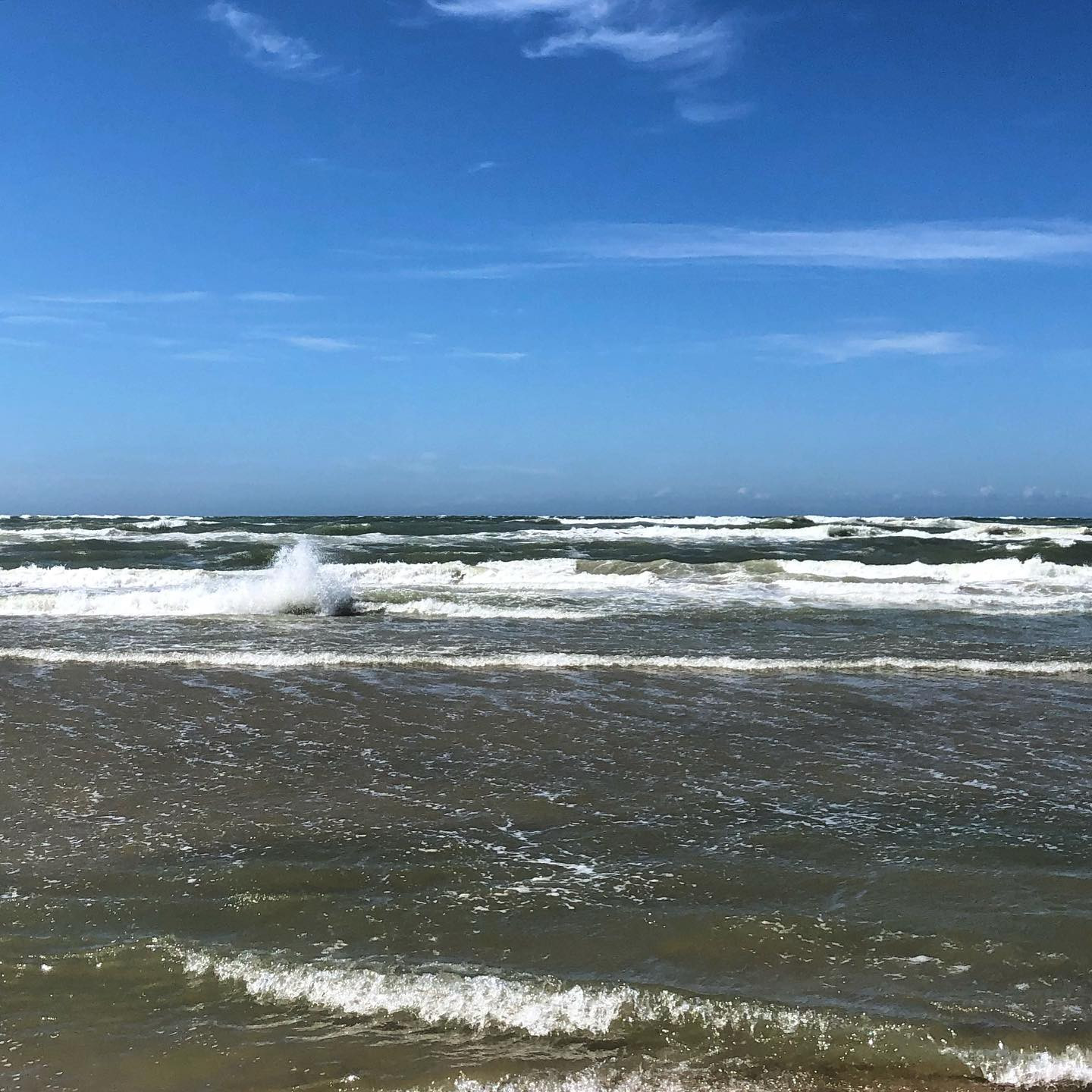Back #home for the first time since lock-down. Just a few days to feel the wind and smell the sea. #northsea #roots