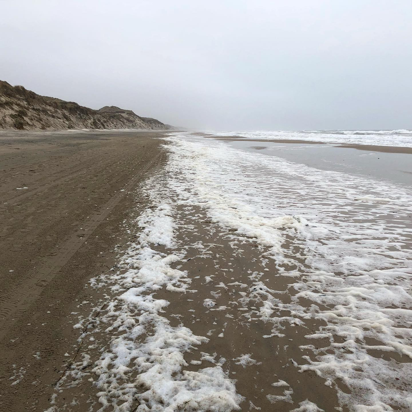 #home #northsea