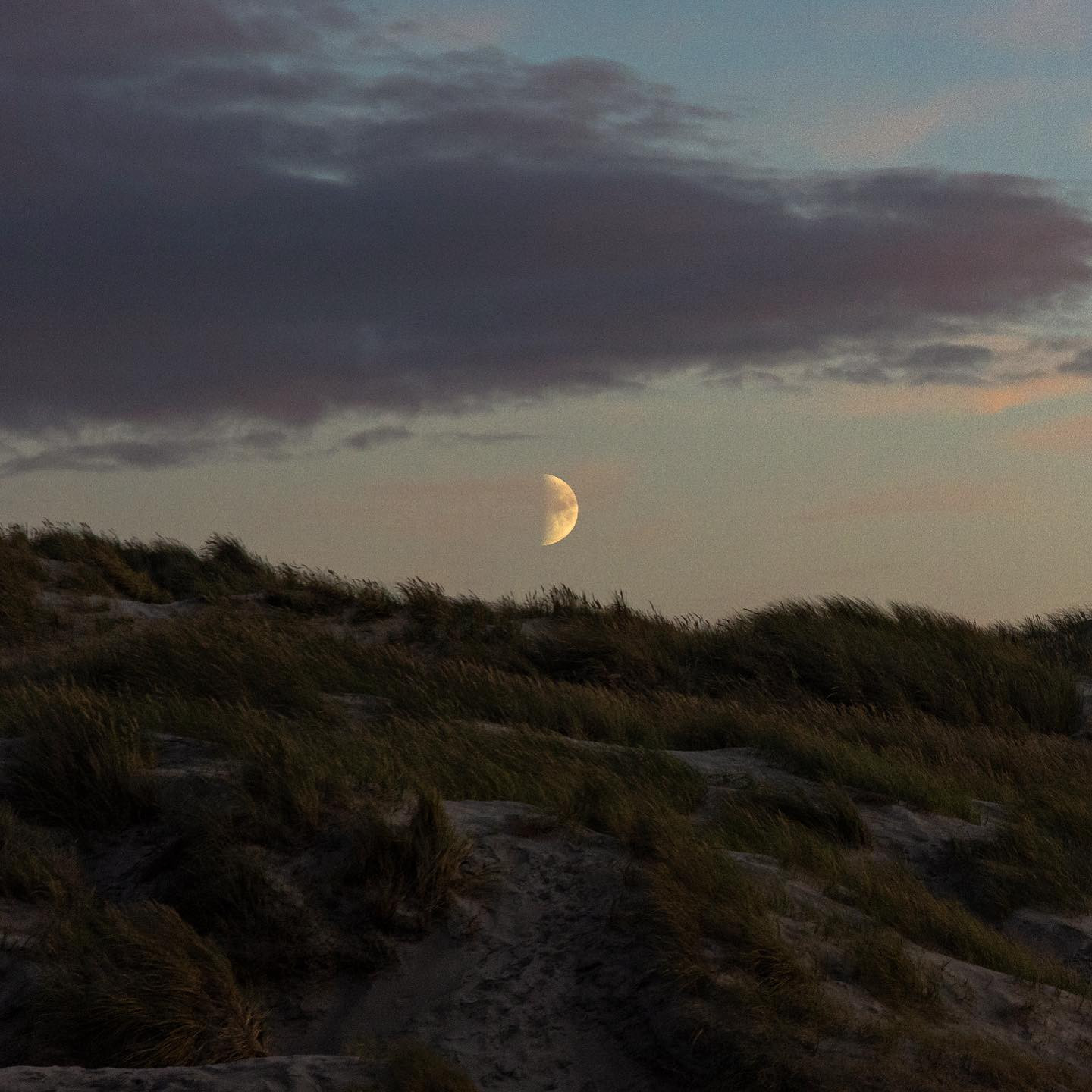 #northsea #moonspam #canoneosr6 #eosr6 #sigma24105art #home