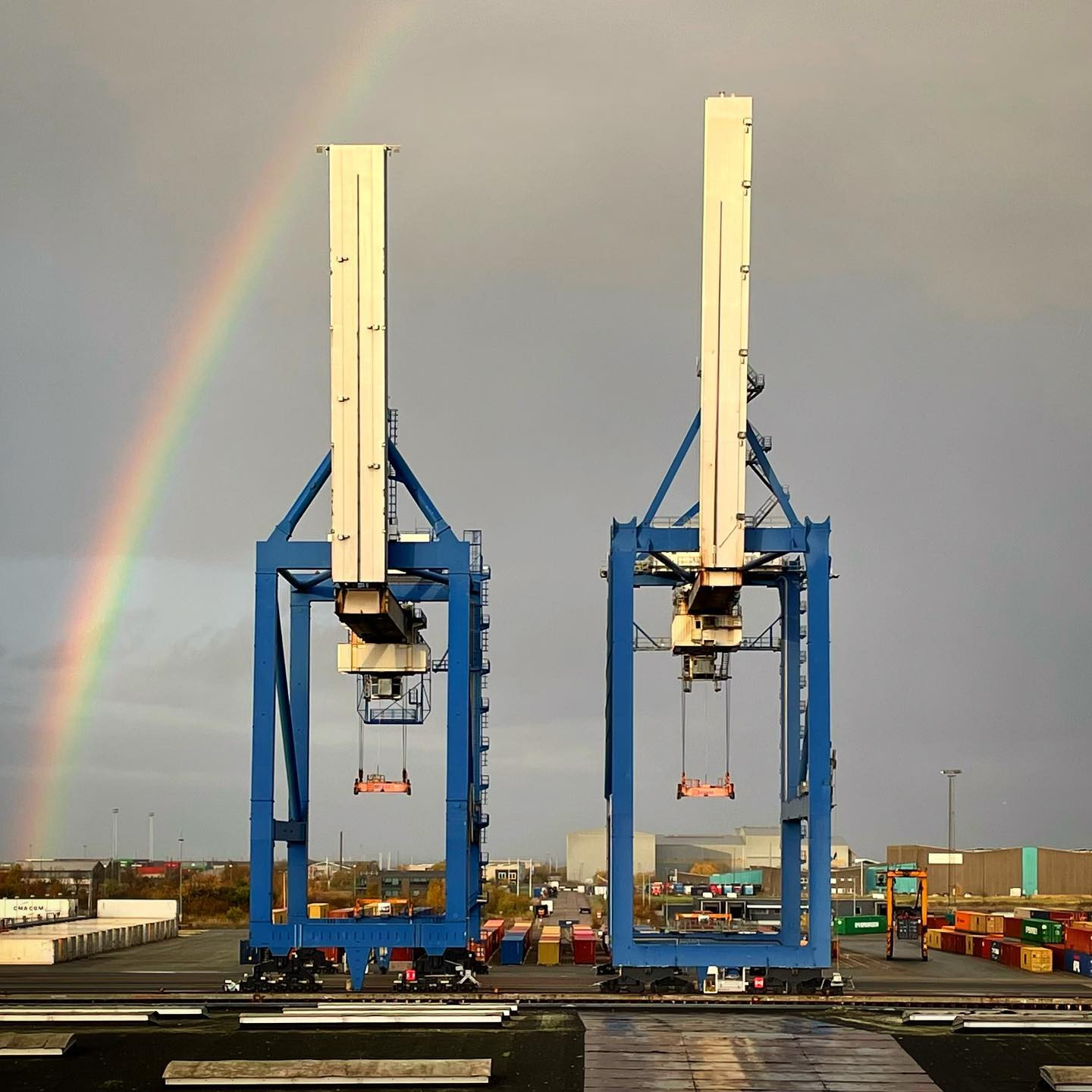 Proud cranes. #shotwithiphone #theviewfrommyoffice
