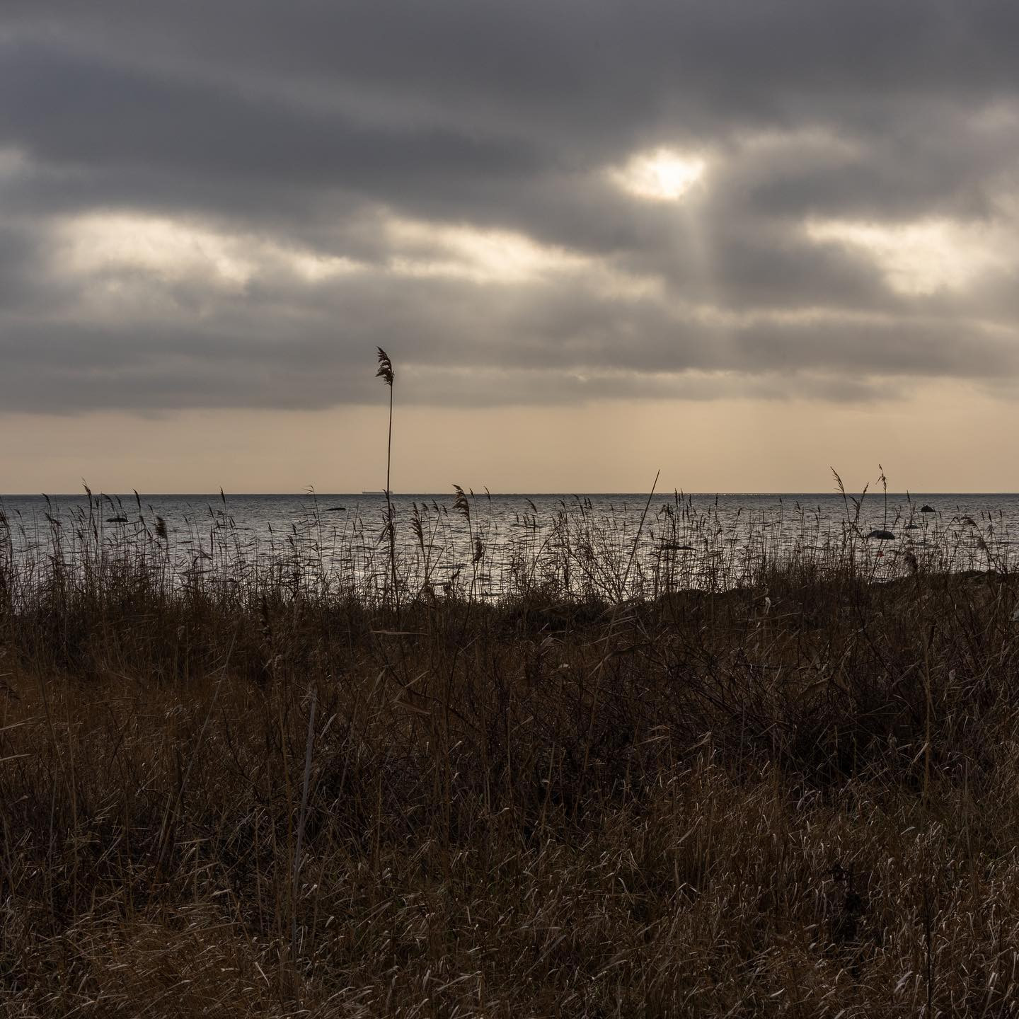 #canoneosr6 #eosr6 #canon70300mm