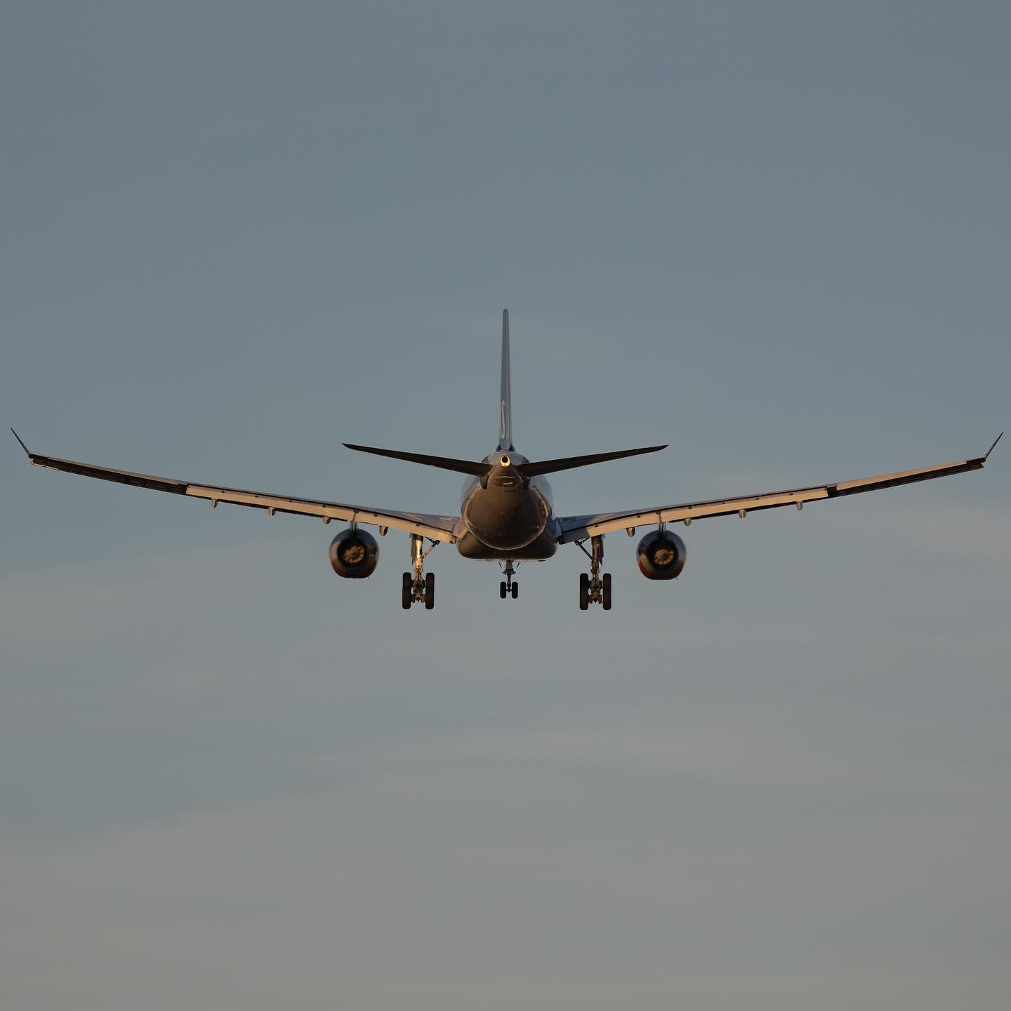 #canoneosr6 #eosr6 #canon600mmf11 #boeing737 @flysas