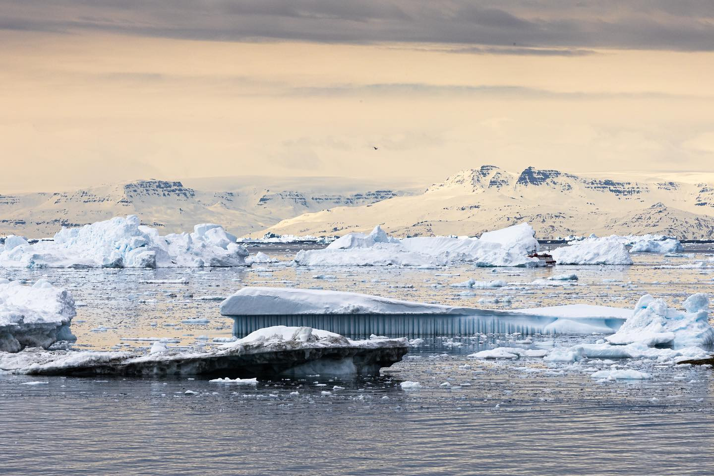 #iceberg #greenland #icefjord #midnightsun #canoneosr6markii #eosr6markii #canon70300mm @worldofgreenland