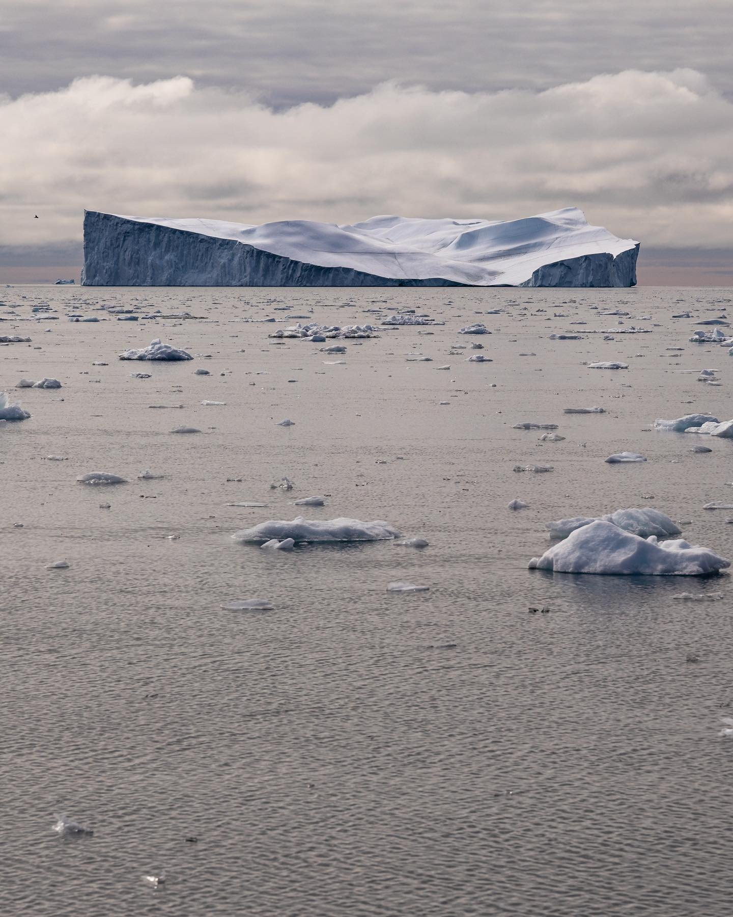 It’s hard to choose, but this one may be one of my favourites from this trip. The soft top of the overturned berg contrasts so nicely with its sharp edges. #iceberg #greenland #canoneosr6markii #eosr6markii #sigma24105art @worldofgreenland