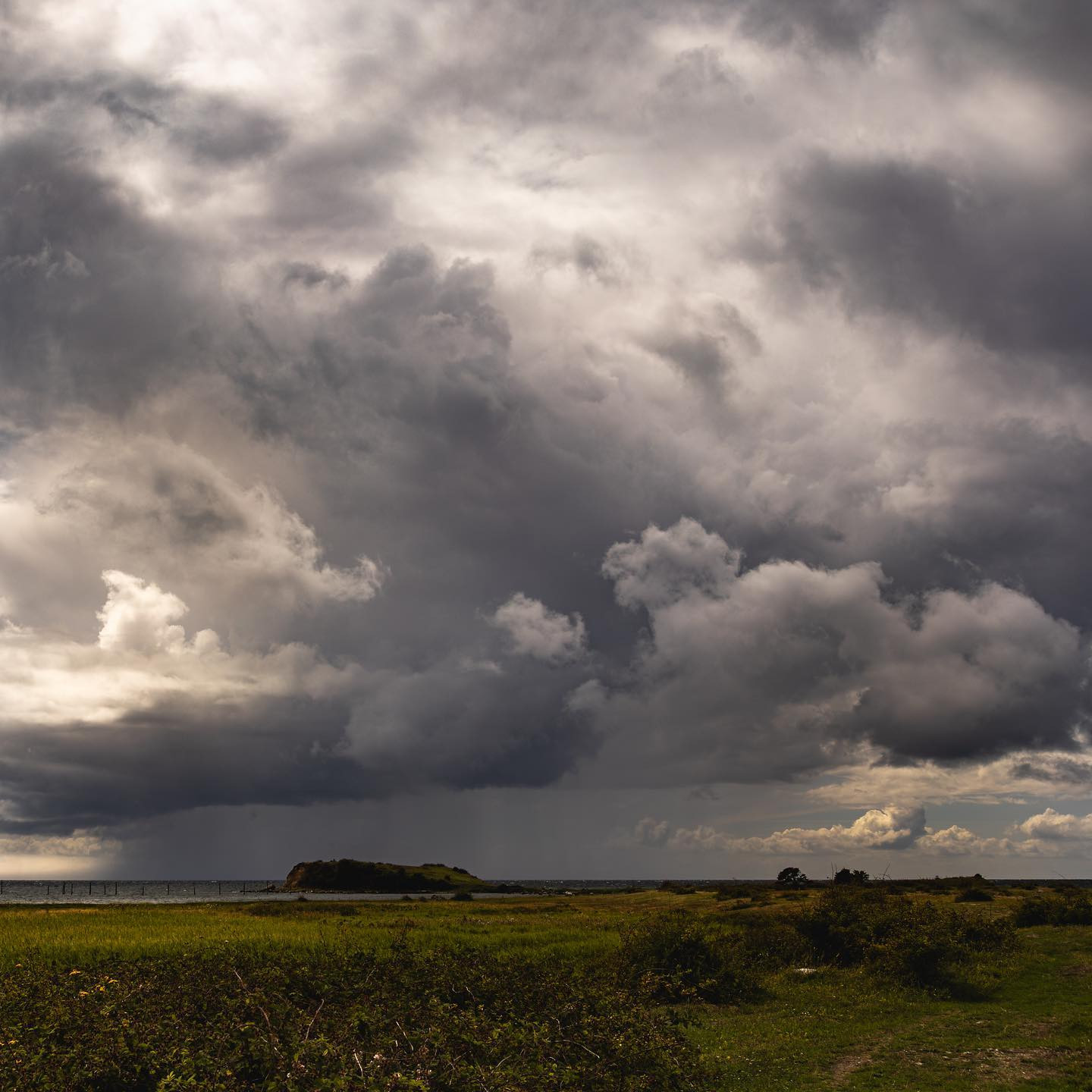 Knudshoved Odde, July 2023 #canoneosr6markii #eosr6markii #sigma24105art #landscapephotography