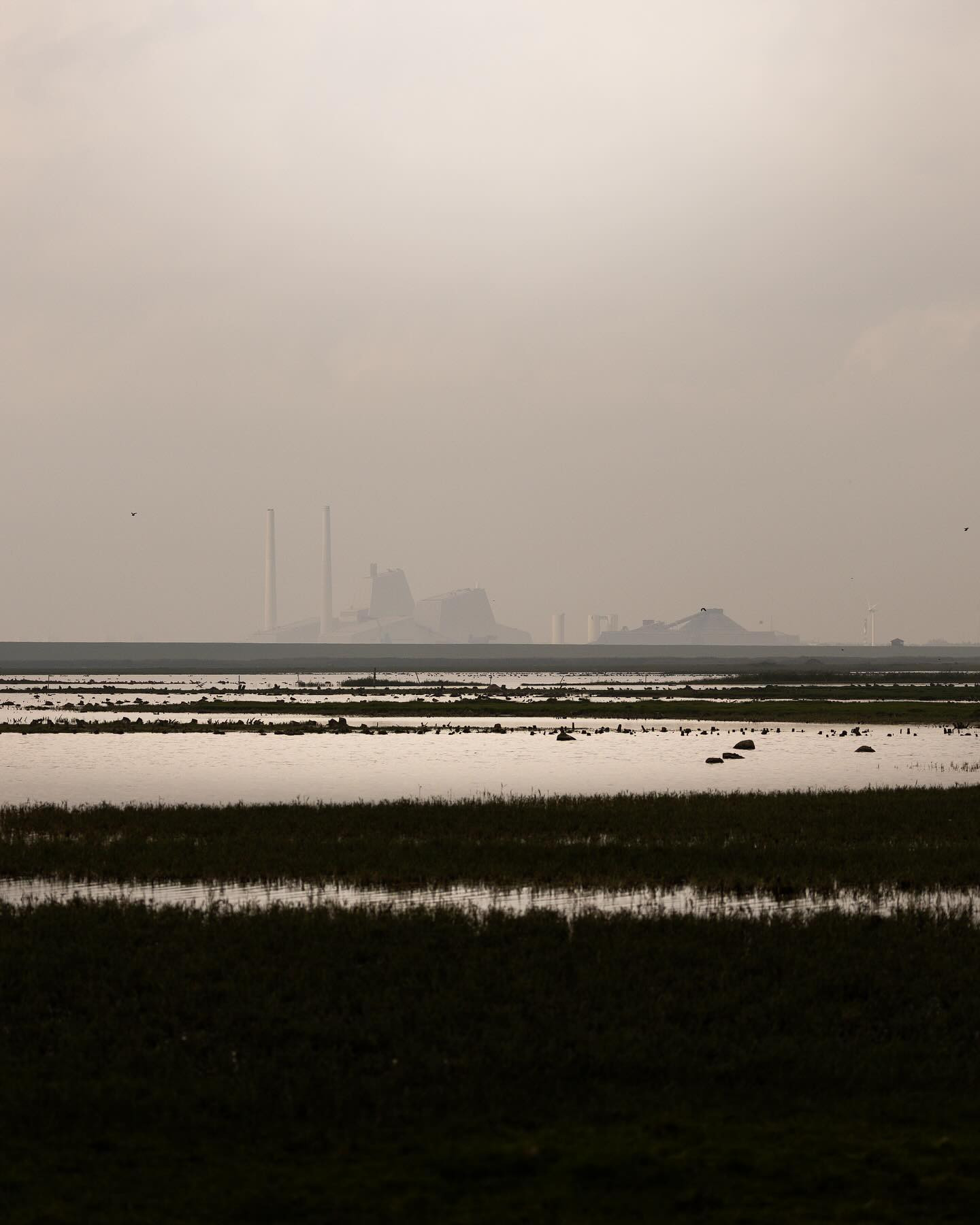 #avedøreværket powerplant makes the wetlands south of Copenhagen resemble a scene from a post apocalyptic sci-fi movie. #canoneosr6markii #eosr6markii #canon100500rf