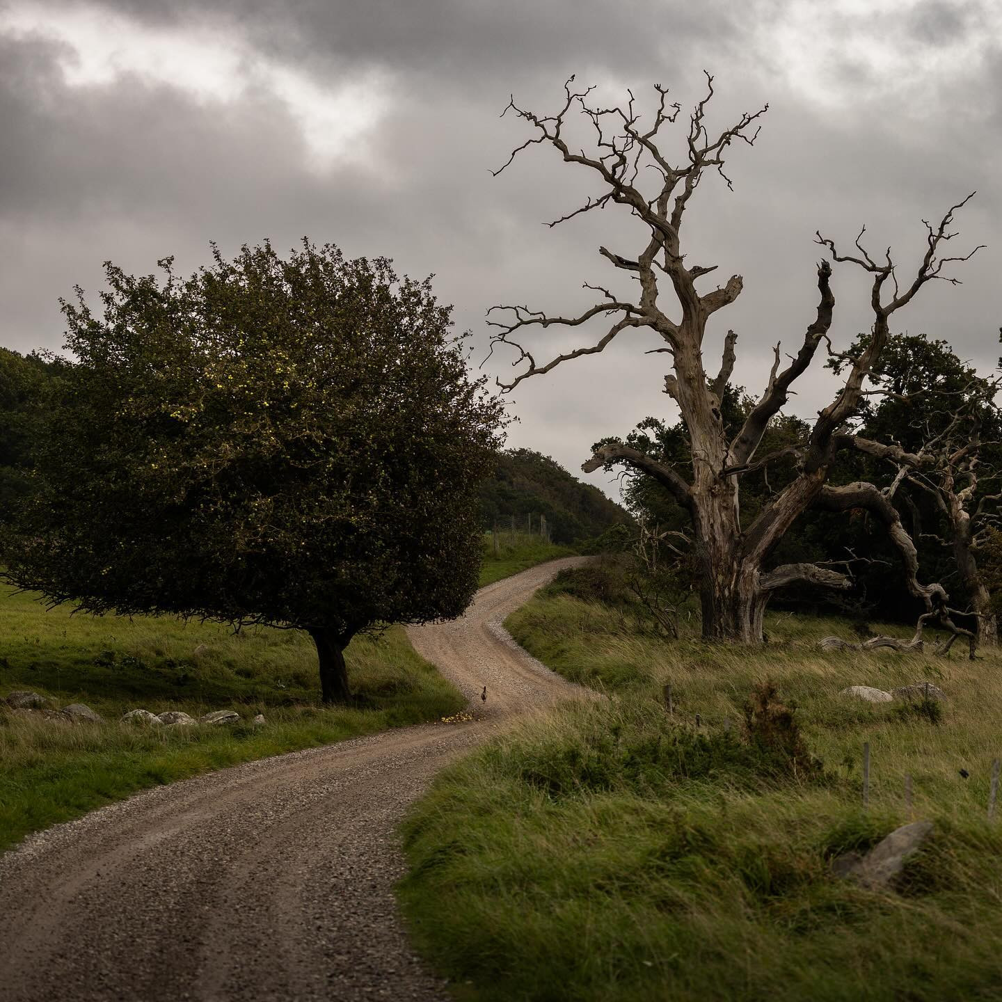 #canoneosr6markii #eosr6markii #canon100500rf #landscapephotography