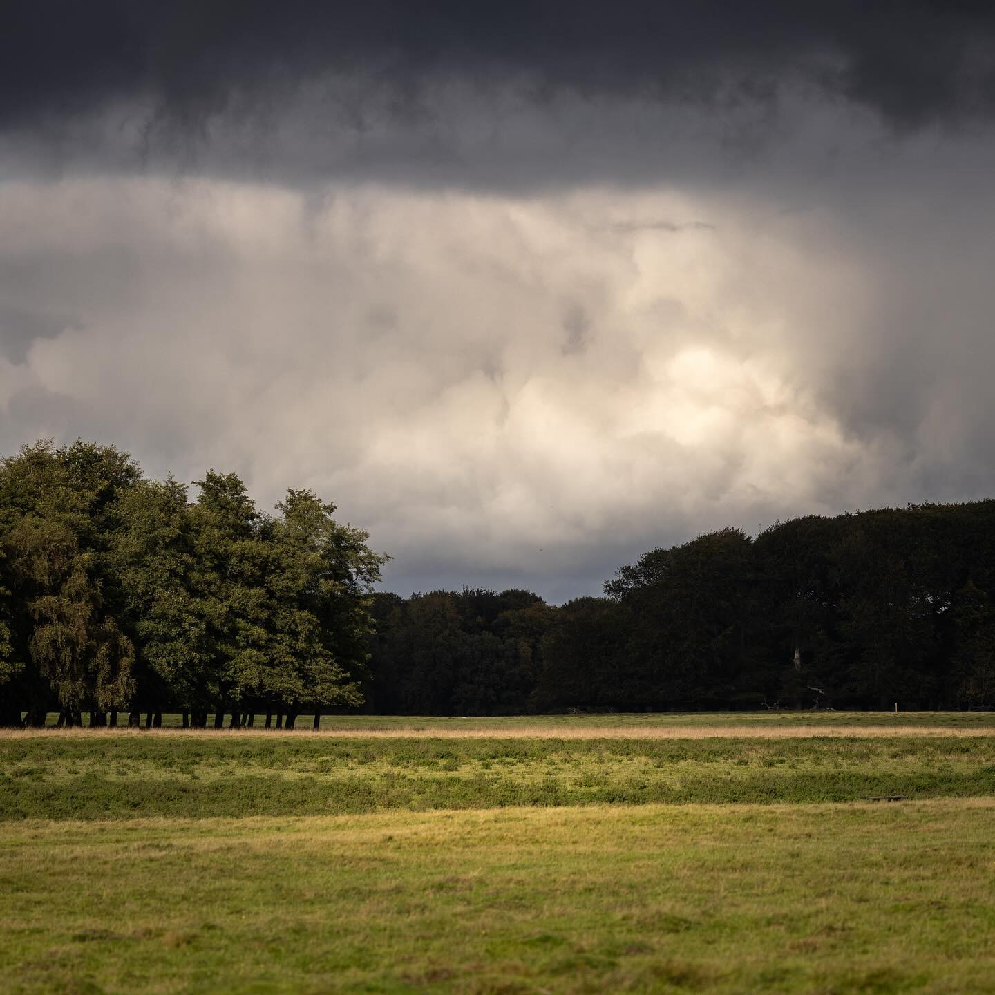 #landscapephotography #canoneosr6markii #eosr6markii #canon100500rf