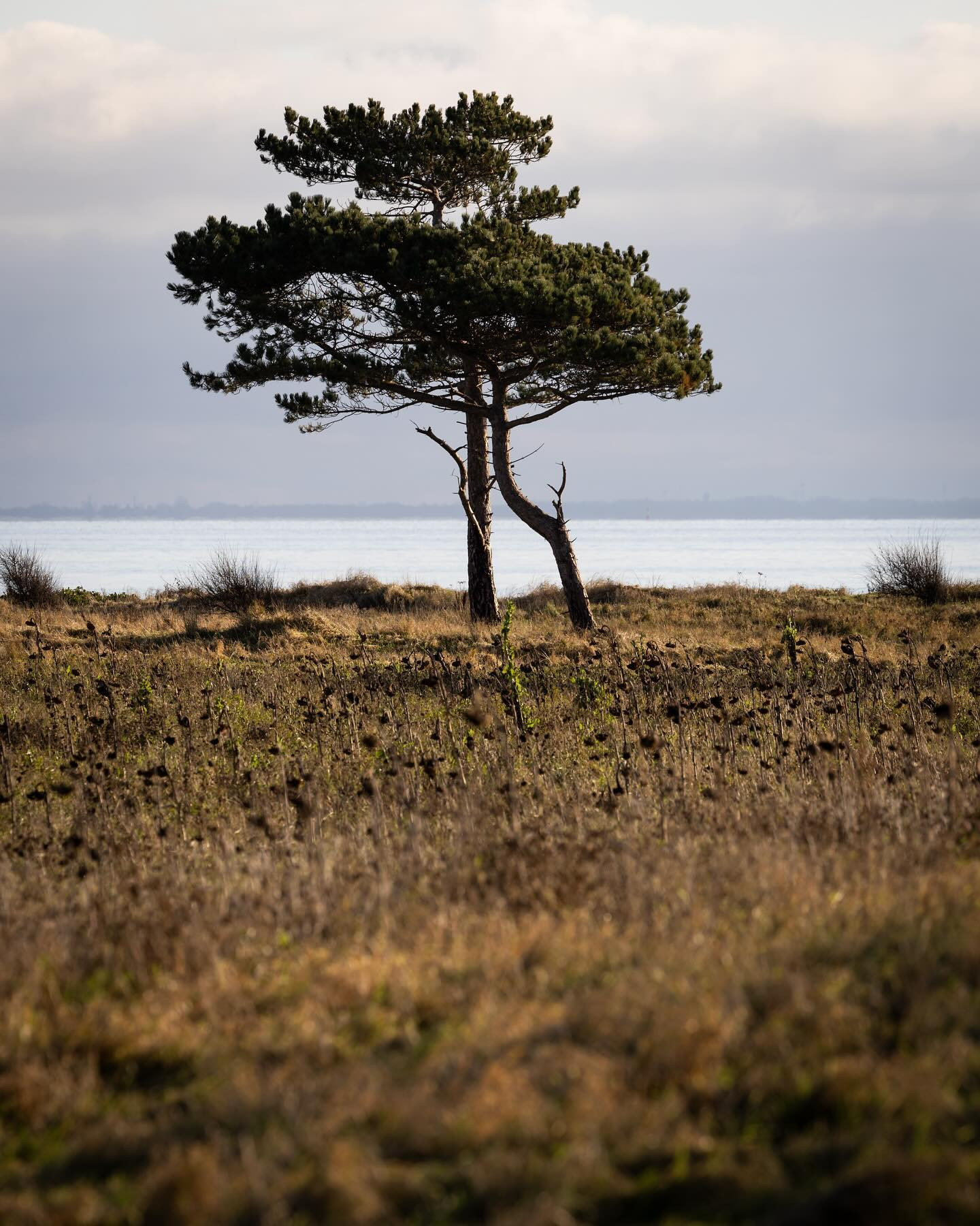 #canoneosr6markii #eosr6markii #canon100500rf #landscapephotography