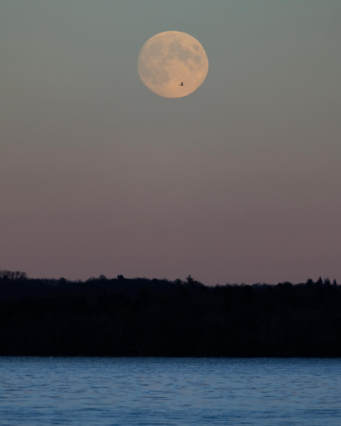 Almost #fullmoon #sunset #autumnvibes #landscapephotography #canoneosr6markii #eosr6markii #canon100500rf
