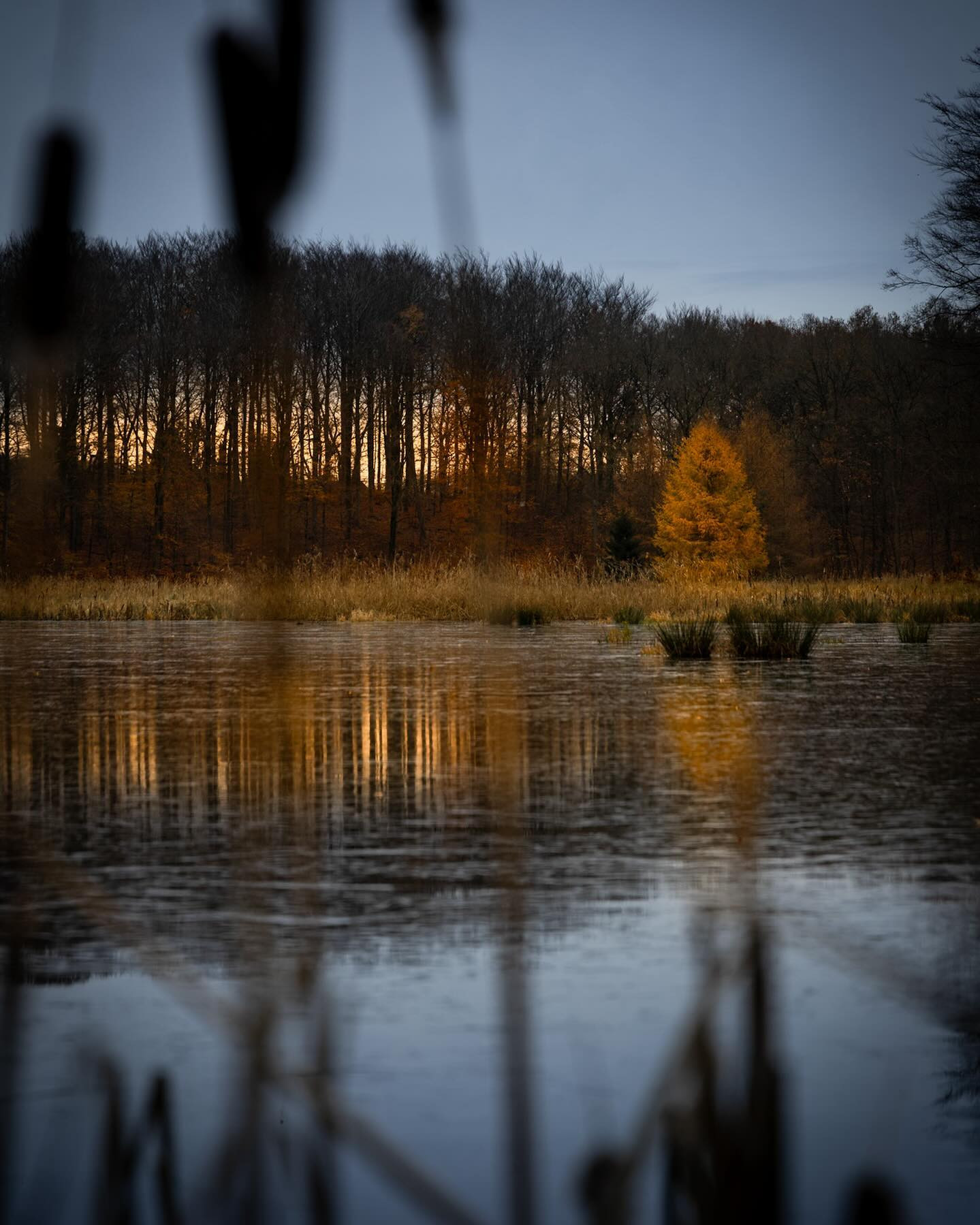 #landscapephotography #canoneosr6markii #eosr6markii #sigma24105art