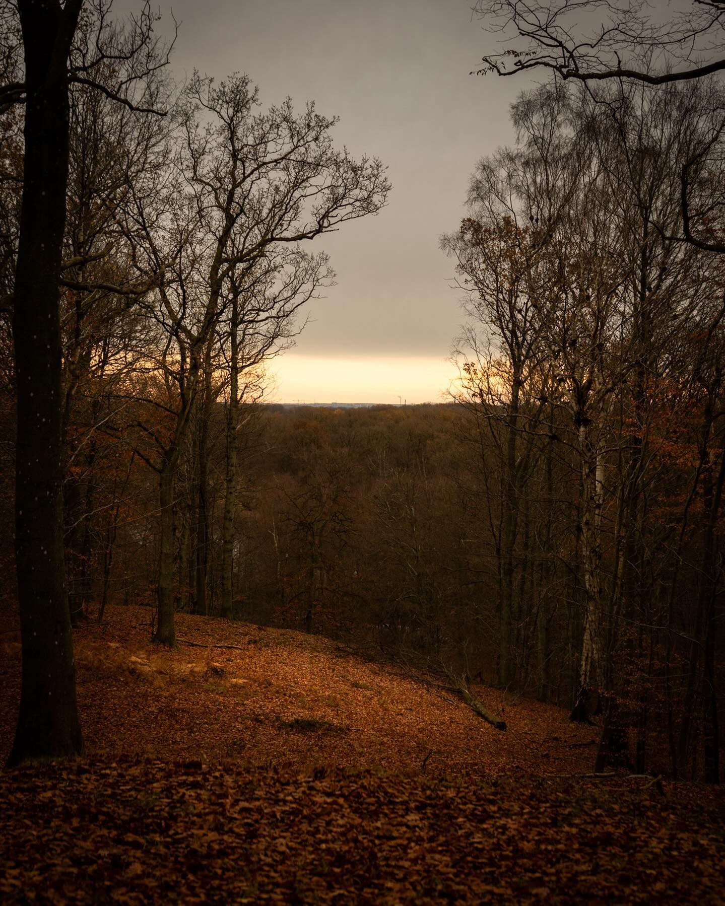 #sunset #autumnvibes #landscapephotography #canoneosr6markii #eosr6markii #sigma24105art