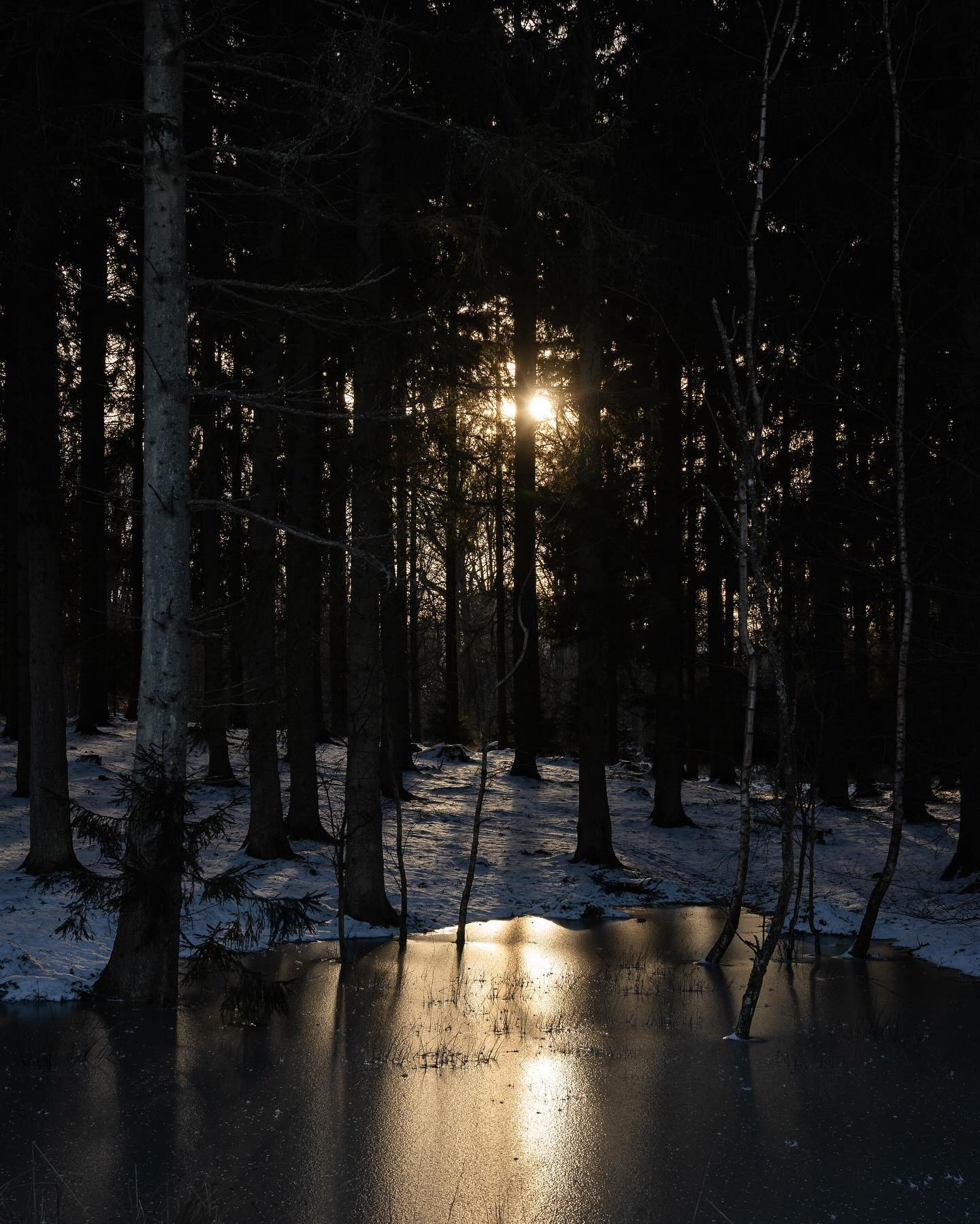 -10 + windchill. Fingers turned into meat popsicles after a few minutes. #canoneosr6markii #eosr6markii #sigma24105art #winter #landscapephotography