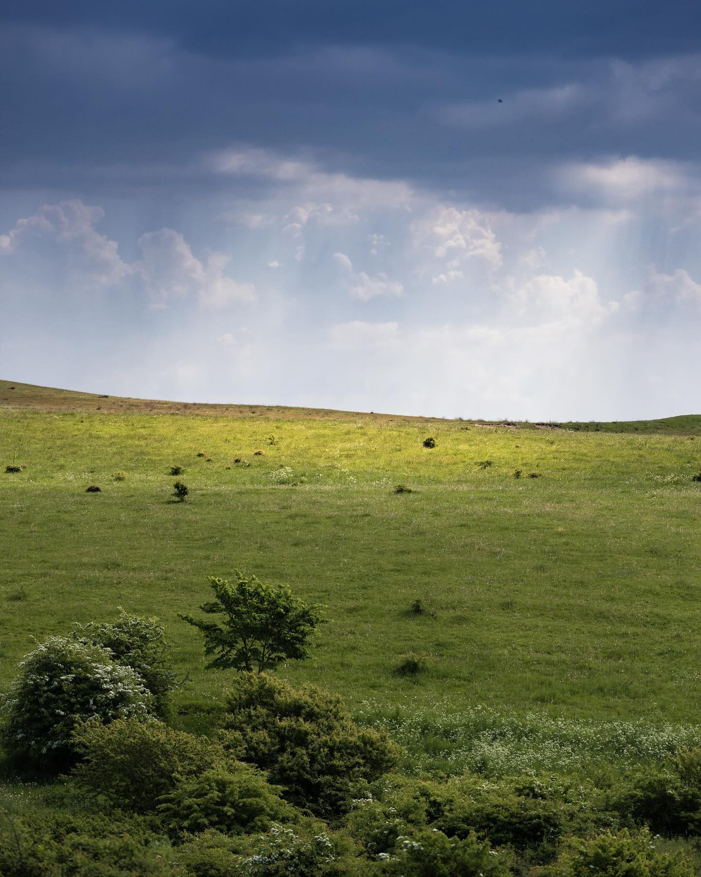 Green Hills of Earth #canoneosr6markii #eosr6markii #landscapephotography #canon100500rf