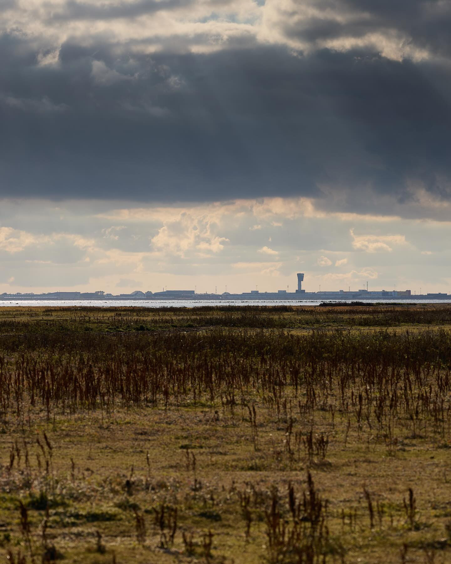 Saltholm is an almost deserted island less than 10 km off Copenhagen. #canoneosr6markii #eosr6markii #canon100500rf #landscapephotography