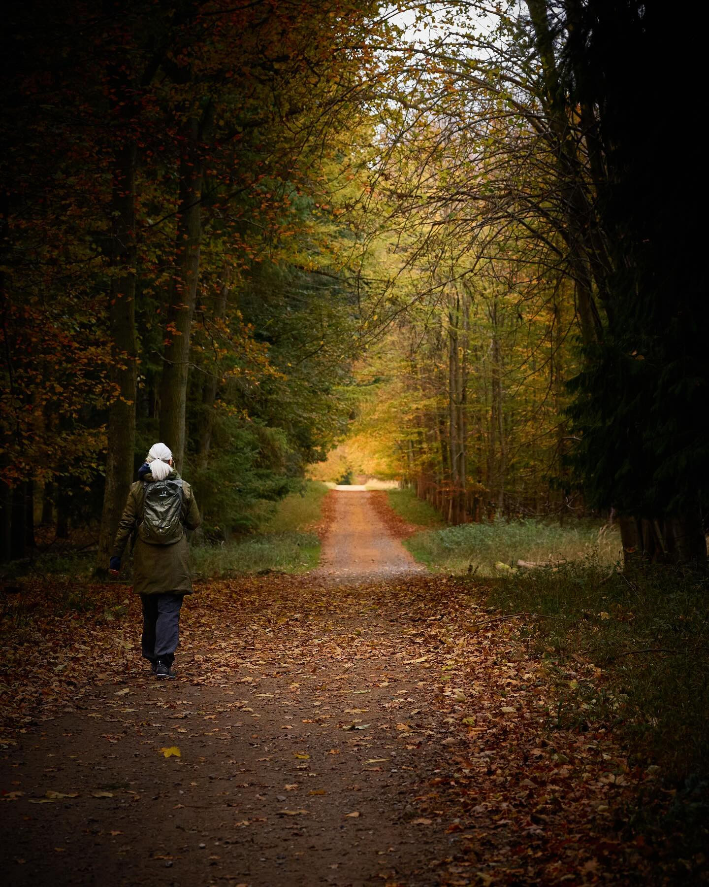 Sometimes you just need to walk. #autumnvibes #autumn #landscapephotography #canoneosr6markii #eosr6markii #canon100500rf