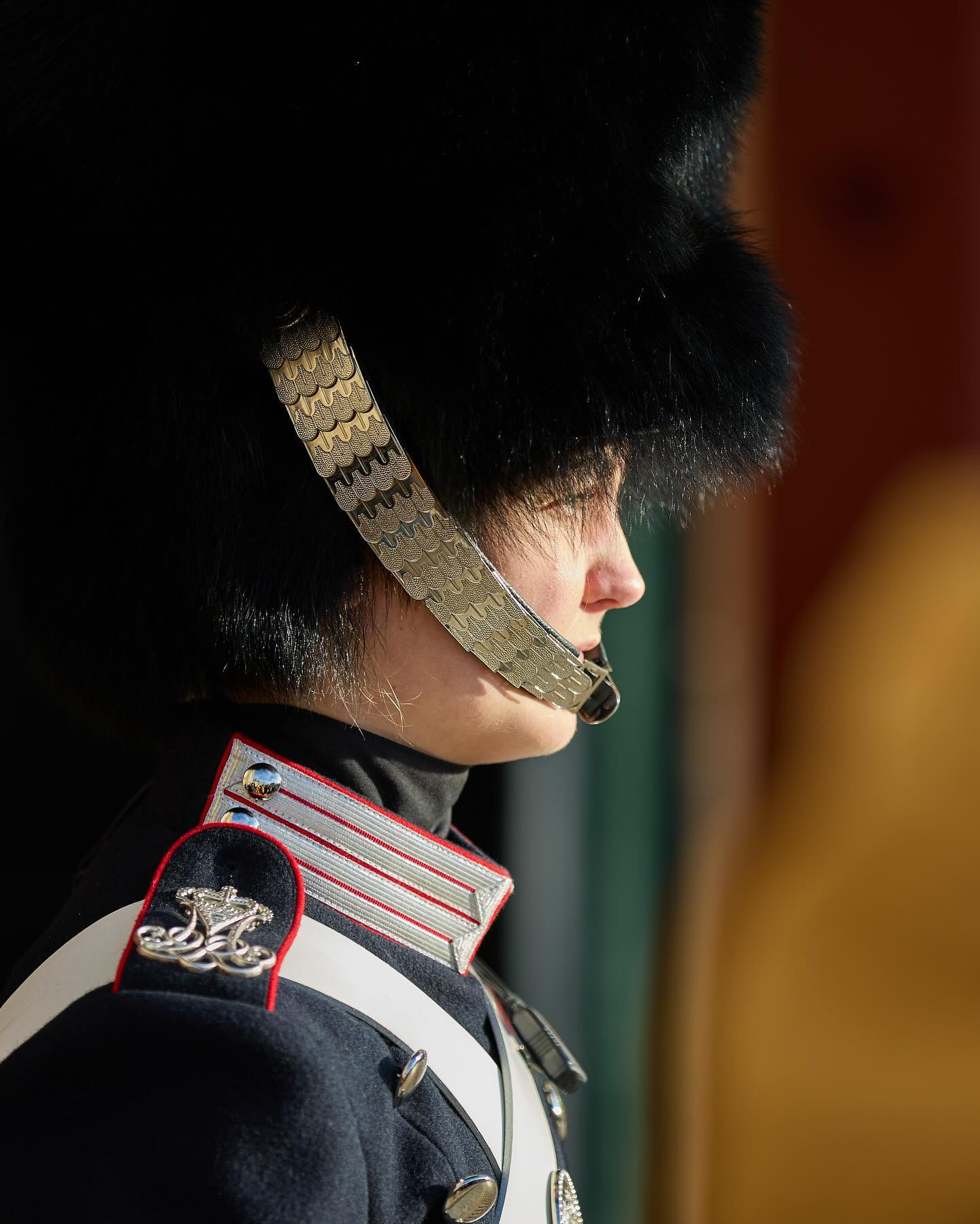 Changing of the Royal Guards, King’s Palace. A cold but sunny day in the hood. 

#canoneosr6markii #eosr6markii #canonef70200mm